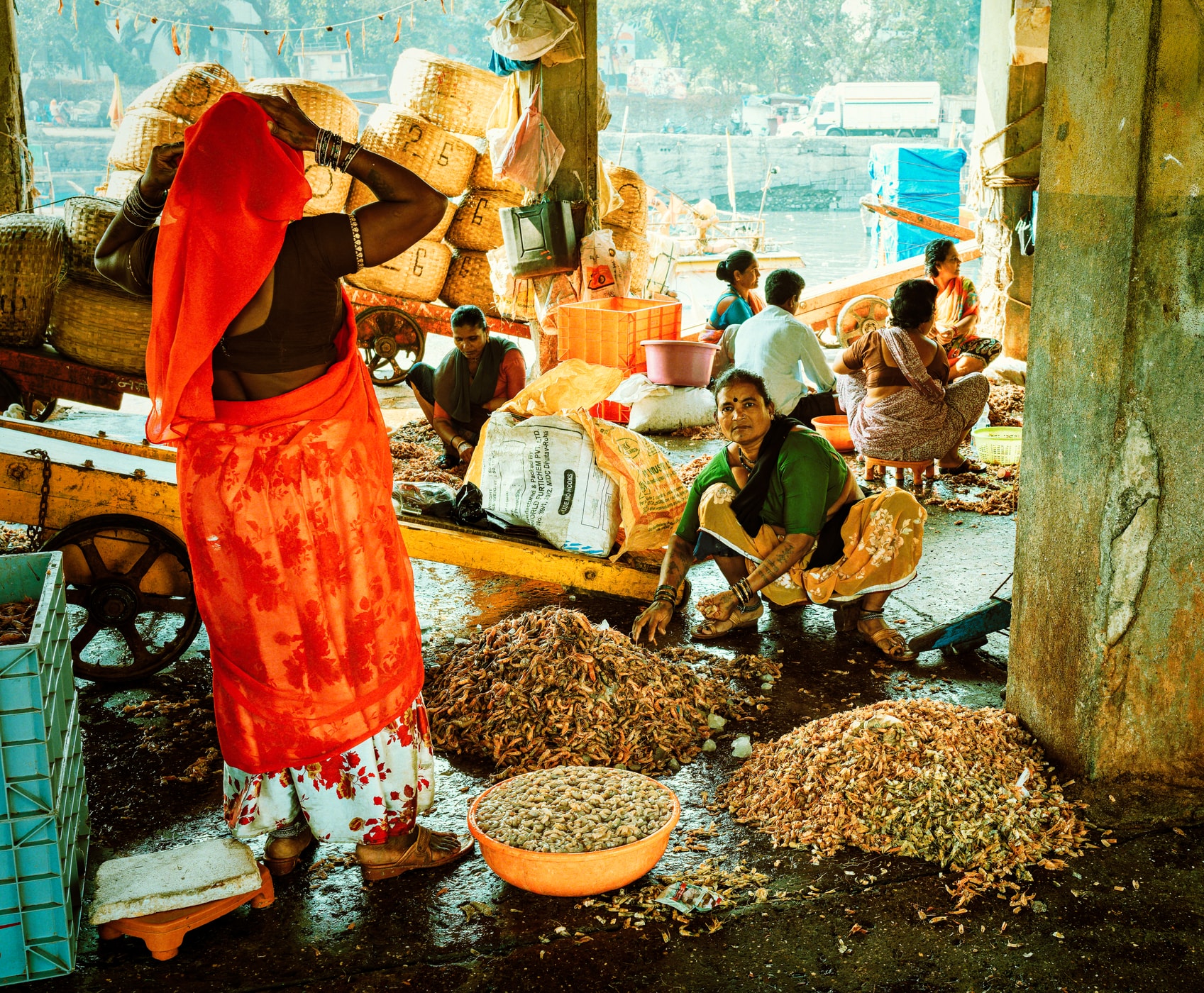 Sorting the Day's Haul